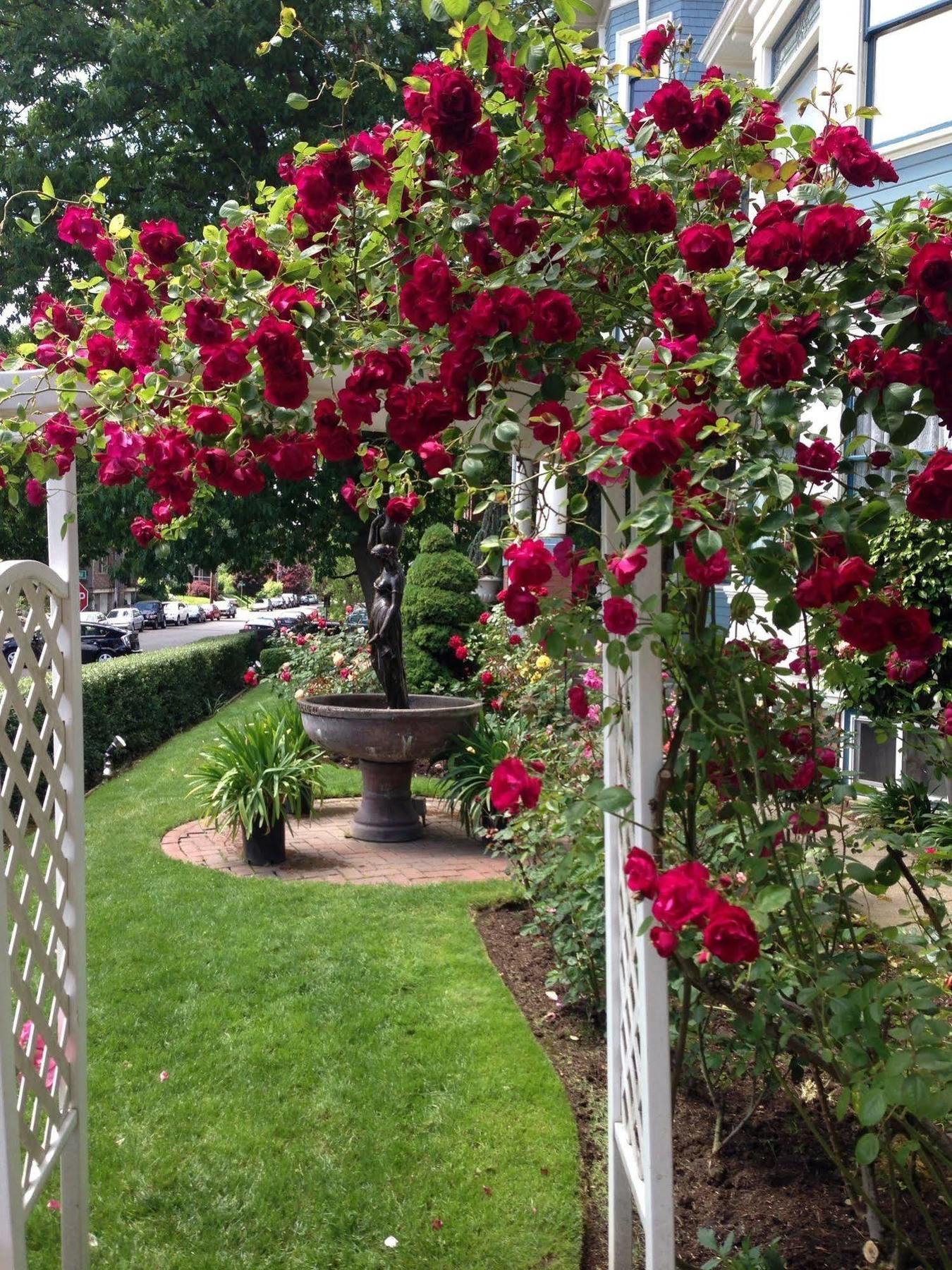 Lion And The Rose Victorian Guest House Portland Eksteriør billede