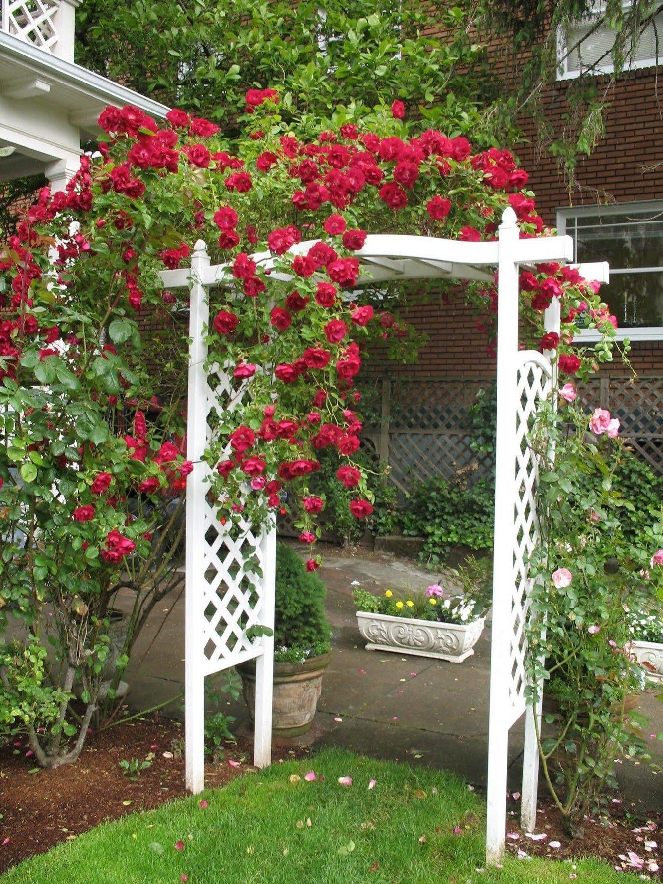 Lion And The Rose Victorian Guest House Portland Eksteriør billede