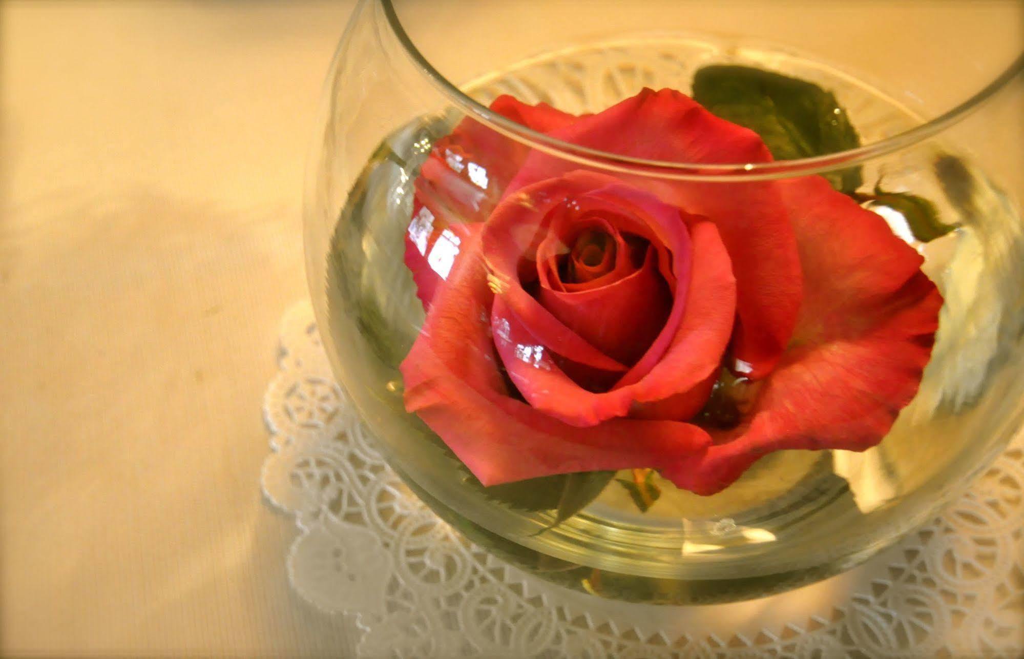 Lion And The Rose Victorian Guest House Portland Eksteriør billede